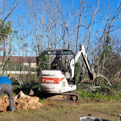 Foresta Urbana Bari, piantati 50 nuovi alberi in via Diomede Fresa