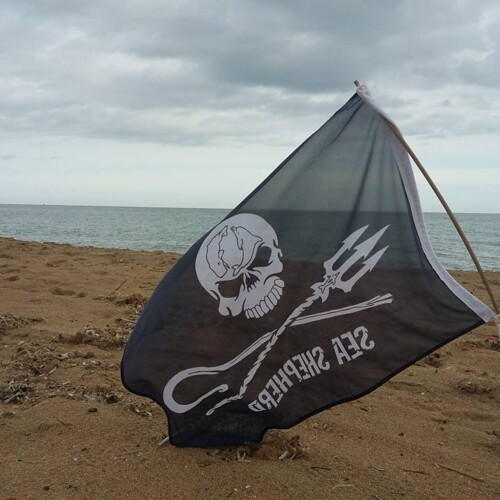 Gallipoli, Sea Shepherd invita i cittadini a pulire le spiagge: ‘Rispettare i litorali anche in inverno’
