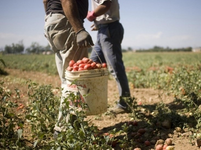 Ginosa, sfruttavano cinque braccianti agricoli stranieri: due arresti