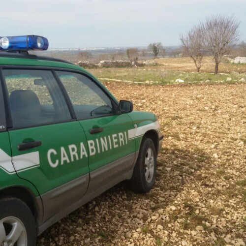 Gioia del Colle, lavori abusivi in aera paesaggistica: denunciato un imprenditore agricolo