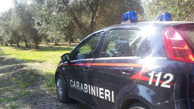 Gioia del Colle, pastore lavorava 9 ore al giorno per 700 euro al mese: denunciati due imprenditori agricoli