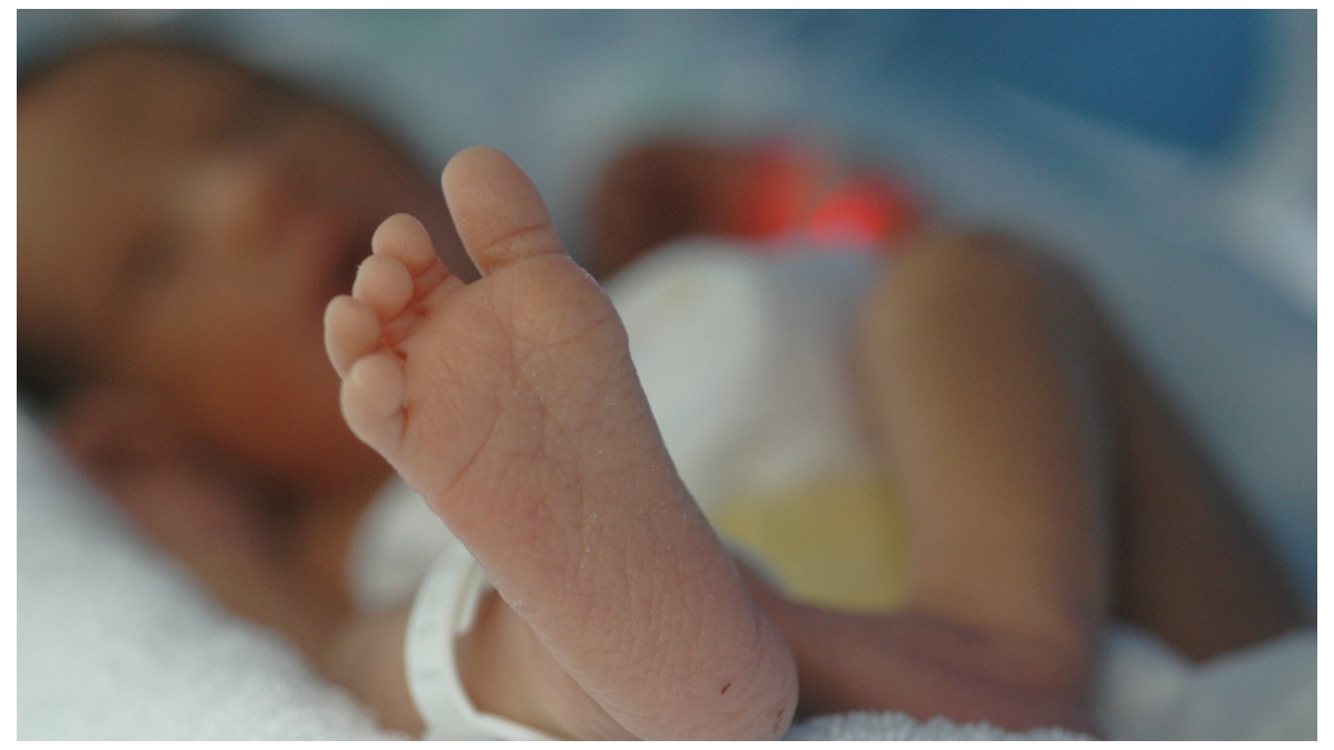 Giornata mondiale del neonato pretermine: incontro sulle problematiche a Bari, Città metropolitana illuminata di viola