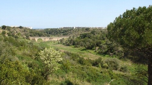 GIORNATA MONDIALE DELLA BIODIVERSITÀ  DOMENICA L’EVENTO A VILLA FRAMARINO NEL CUORE DEL PARCO DI LAMA BALICE