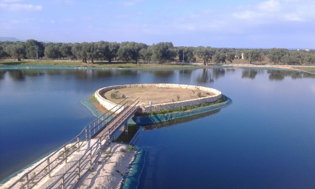 Il riutilizzo delle acque reflue: progressi e sfide nel workshop del progetto europeo ‘Re Water’