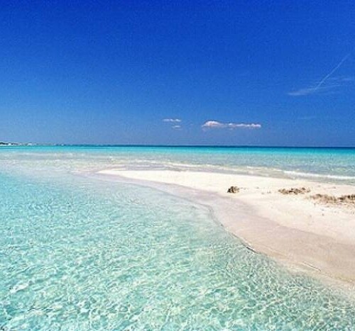 #IlmarediPuglia, quattro giorni di confronto internazionale sulla Blue economy