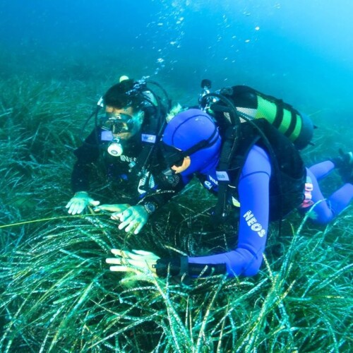 Immersioni subacquee per non vedenti, Michele Emiliano partecipa al progetto di Albatros