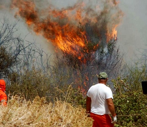 Incendi boschivi: la Puglia è la terza regione più colpita d’Italia