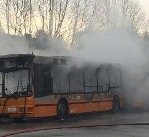 Incendio bus ad Avetrana: Codacons attiva un numero telefonico per segnalare i disservizi