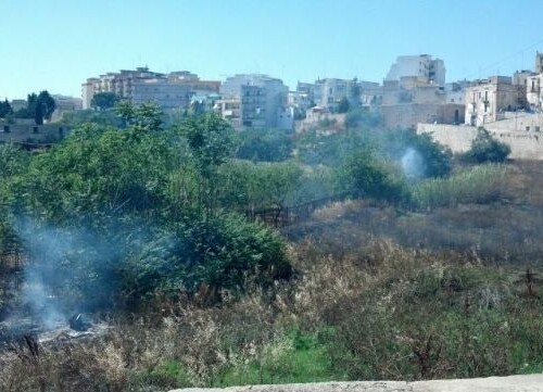 Incendio nel parco naturale Lama Balice a Bari, ora la conta dei danni