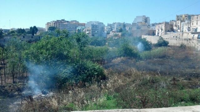 Incendio nel parco naturale Lama Balice a Bari, ora la conta dei danni