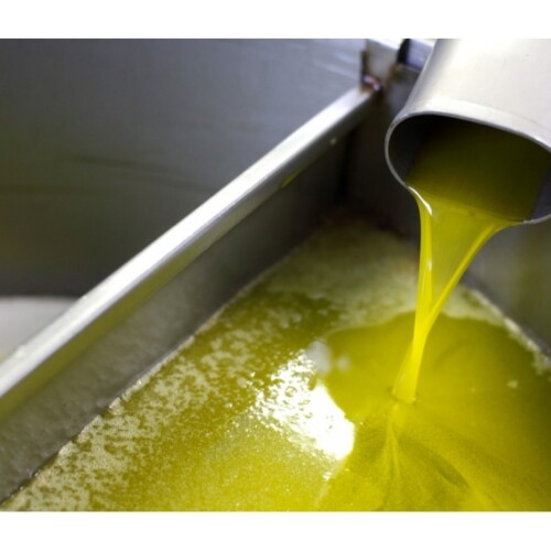 Innovazione Made in Puglia: giornata dimostrativa dell’impianto ad ultrasuoni per l’estrazione dell’olio d’oliva