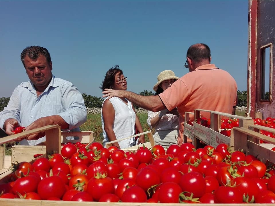 La FAO promuove la Puglia: ‘Straordinaria ricchezza di biodiversità’