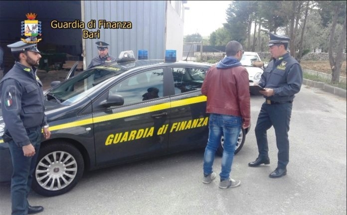 Lavoro nero, Guardia di Finanza nelle aziende pugliesi: scoperti 200 dipendenti irregolari
