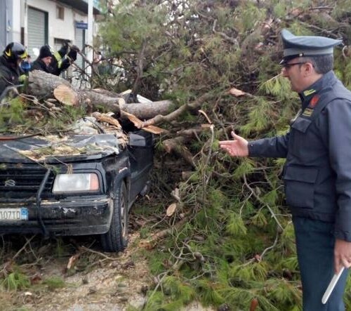 Maltempo, a Gravina un albero si abbatte su un’auto: 33enne in prognosi riservata