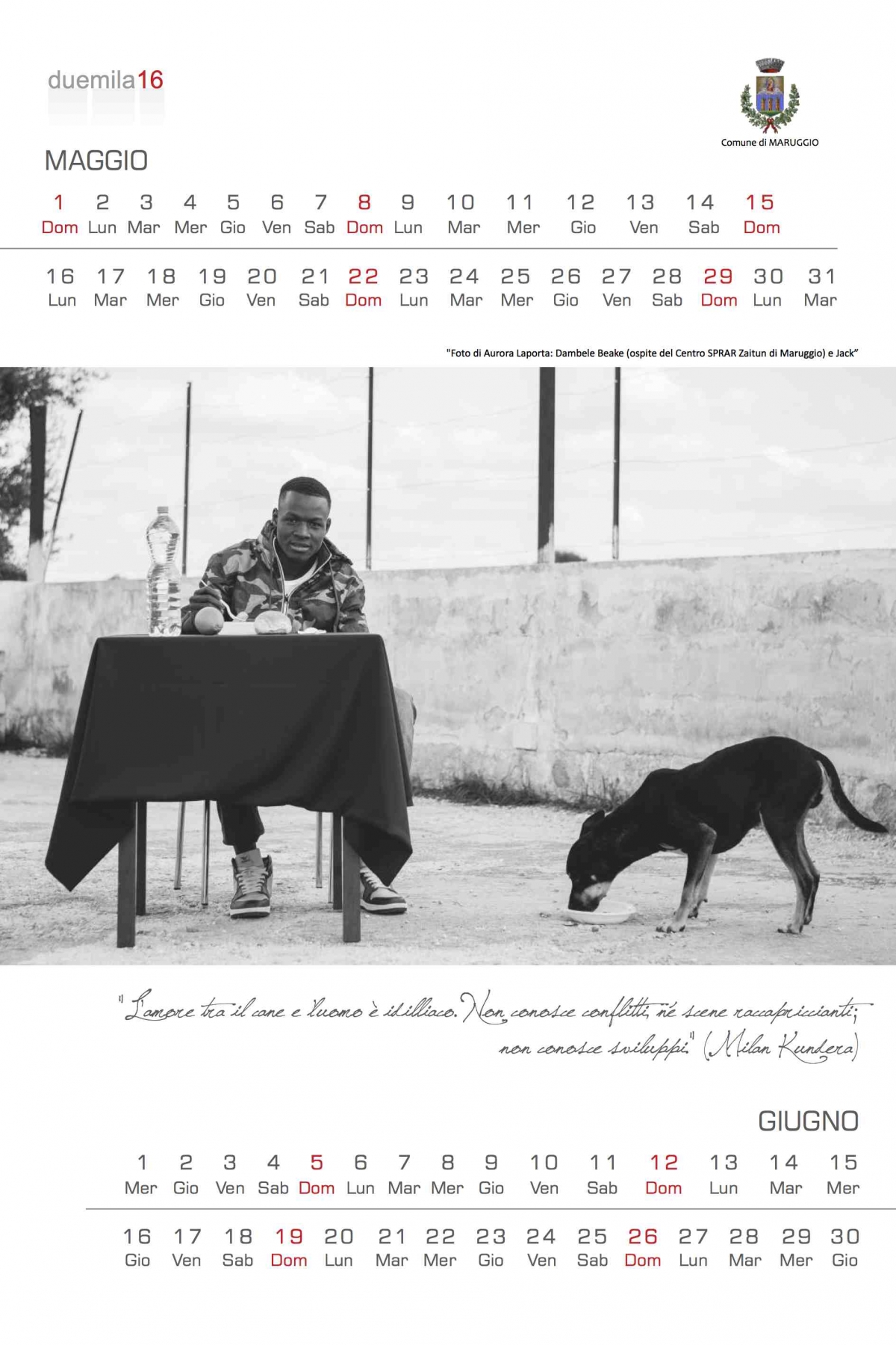 ‘MiFidodiTe’: il comune di Maruggio dedica un calendario ai cani abbandonati