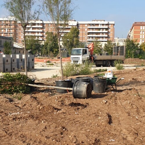 Nuovo parco nell’ex Caserma Rossani, Confindustria Bari dona 18 alberi
