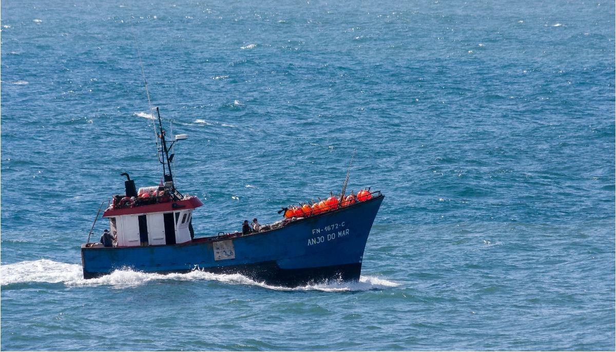 Pesca di frodo, in Puglia sono 671 le infrazioni secondo il dossier Mare Monstrum 2016