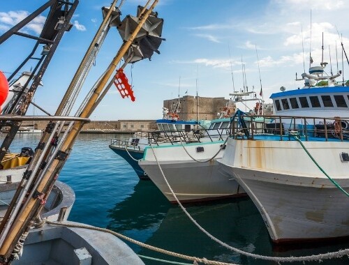 Pesca e caro gasolio, vice presidente della Regione Puglia e assessore all’Agricoltura: “Previsti tre milioni di euro per sostenere il comparto”