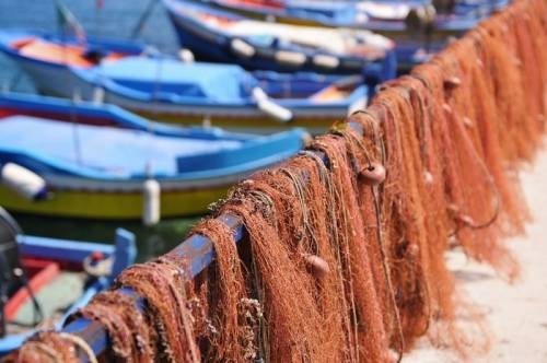 Pesca, il blocco delle attività arriva in Puglia. Coldiretti: ‘Attenzione ai piatti surgelati’