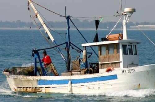Pesca: pubblicato l’avviso pubblico a sostegno delle marinerie pugliesi
