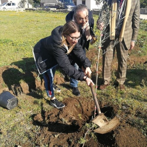 ‘Piantiamo il futuro’ arriva a Ginosa: 10 nuovi alberi di ulivo nella scuola Giovanni Paolo II
