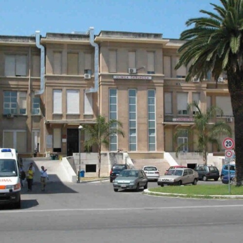 Policlinico di Bari: il reparto di Ortopedia infestato dalle api, chiuse tre sale operatorie