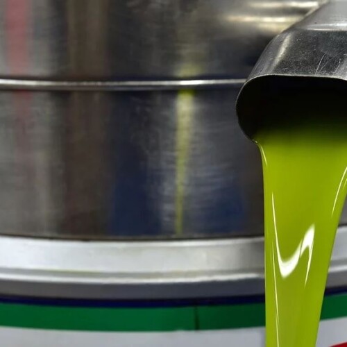 Puglia, Coldiretti lancia l’allarme: ‘Invasione di olio straniero, oltre 9 milioni di chili nei magazzini’