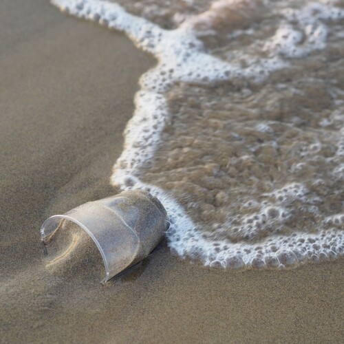 Puglia, giudice accoglie istanza della Regione: ‘Torna l’ordinanza plastic free sulle spiagge’