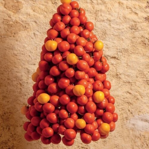 Puglia, l’albero di Natale è fatto con grappoli di pomodori Regina