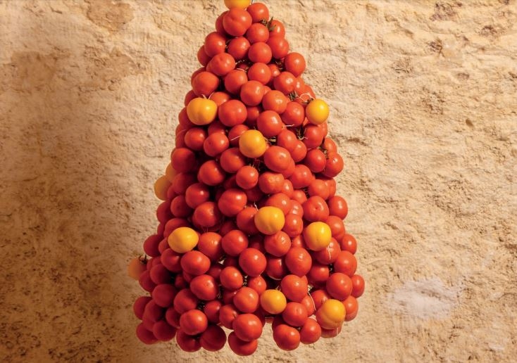 Puglia, l’albero di Natale è fatto con grappoli di pomodori Regina