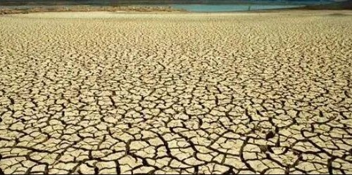 Puglia, l’allarme di Coldiretti: ‘Il 57% del territorio è a rischio desertificazione’