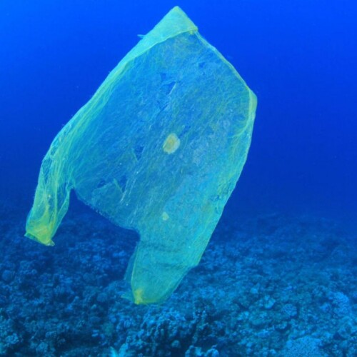 Puglia, rinnovato il protocollo per combattere la diffusione di plastica in mare