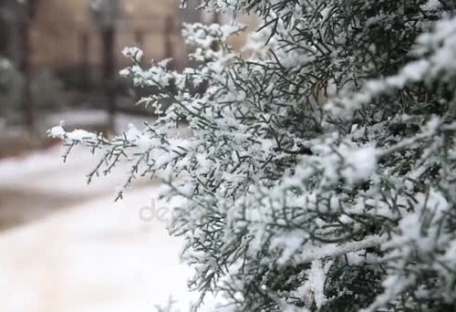 Meteo, aria polare in arrivo sulla Puglia: ‘Allerta gialla per vento e neve su tutta la regione’