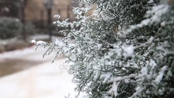Meteo, aria polare in arrivo sulla Puglia: ‘Allerta gialla per vento e neve su tutta la regione’