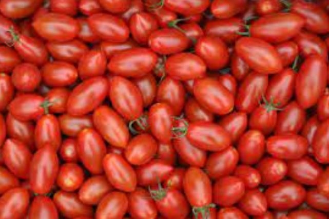Richiesta di riconoscimento Igp del pomodoro pelato di Napoli, la Regione Puglia si oppone