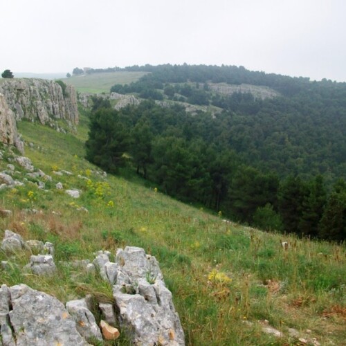 Rievocazioni medievali, trekking sonoro e il MurgiaFest: il ricco programma di attività nel Parco dell’Alta Murgia