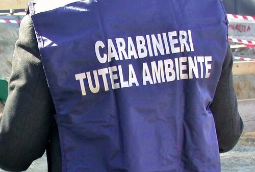 Rifiuti abbandonati nel Parco del Gargano: sei arresti