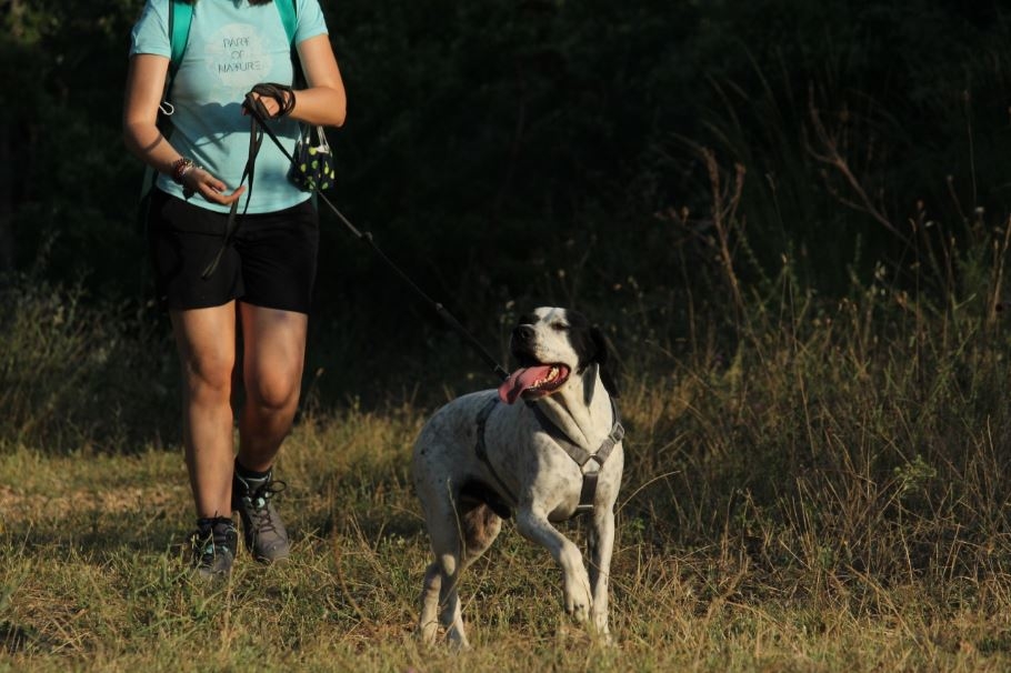 Ruvo di Puglia, torna il dog trekking con i cani ospiti del canile