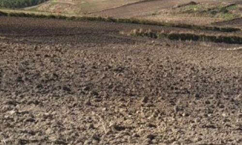 Salento, monitoraggio aree verdi: ‘Tracce di Arsenico, Berillio e Vanadio nei campioni raccolti in 32 comuni’