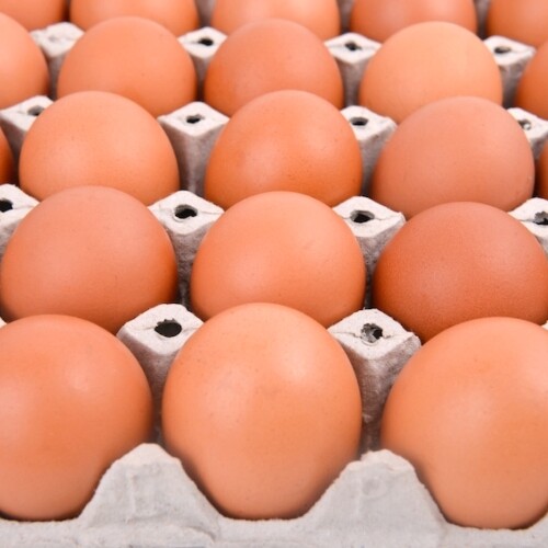 Salento, uovo trovato positivo al Fipronil: sequestri e nuovi controlli