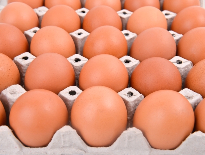 Salento, uovo trovato positivo al Fipronil: sequestri e nuovi controlli