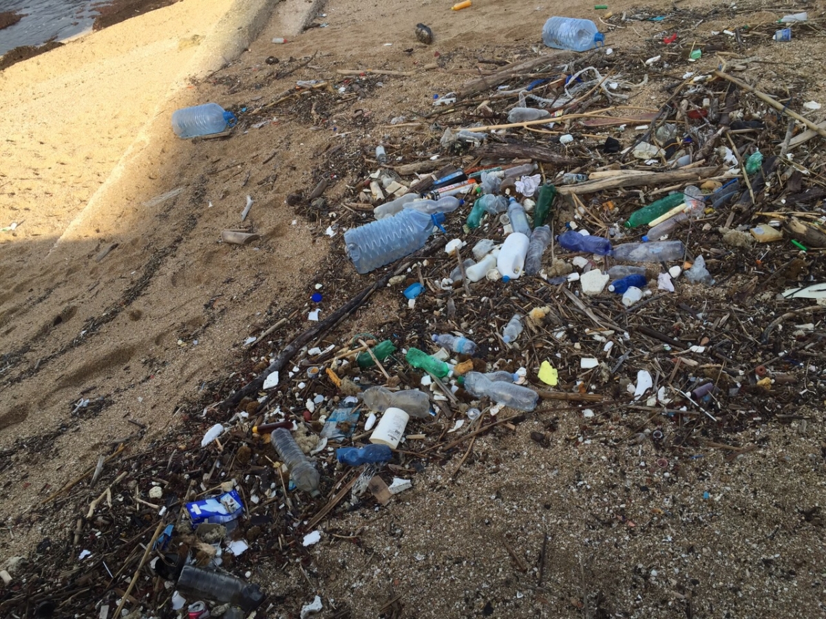 San Girolamo: litorale tra rifiuti e degrado, Decaro convoca il Cda dell’Amiu