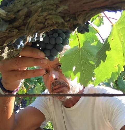 Settimana asiatica per i vini ​del Sud di Claudio Quarta Vignaiolo