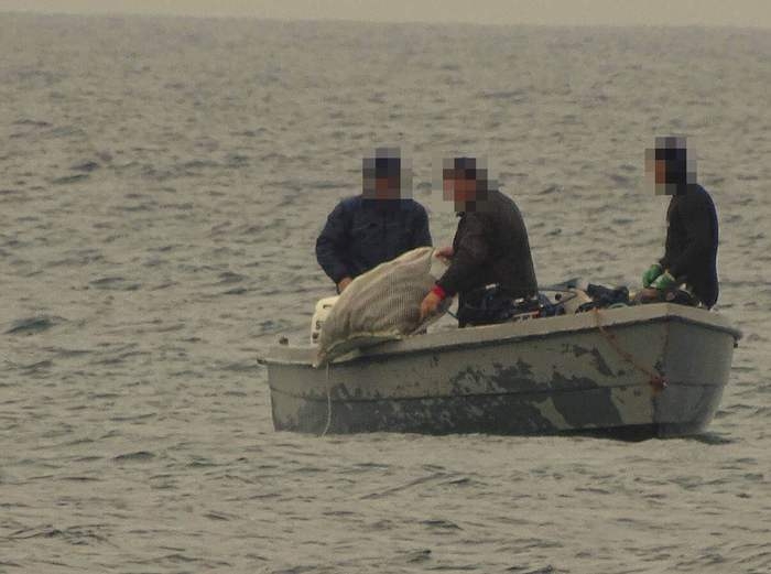 Taranto, sequestrate dieci tonnellate di oloturie: erano state prelevate dai fondali pugliesi
