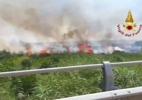 Torre Guaceto, incendio devasta riserva naturale: distrutti tre ettari