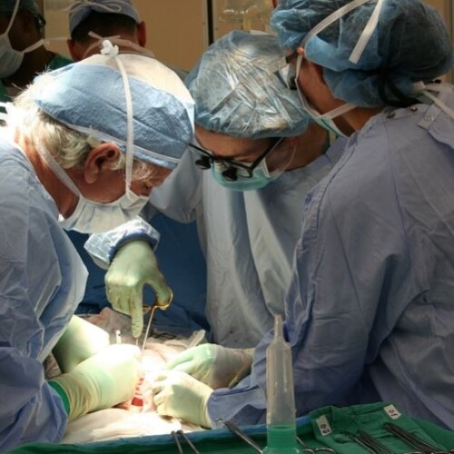Trapianto di fegato, collaborazione tra Policlinico di Bari e ospedale Perrino salva paziente