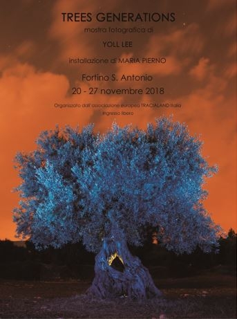 ‘Trees Generations’, a Bari la mostra del fotografo coreano Yoll Lee