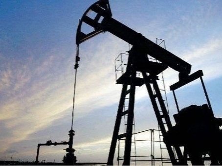 Trivelle, l’appello di Legambiente al governo: ‘Puntare su blue economy e decarbonizzazione, no alla ricerca di petrolio’