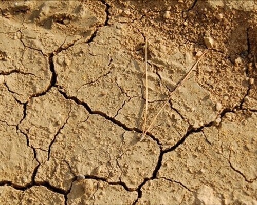 Tropicalizzazione del clima, Coldiretti: ‘L’agricoltura pugliese ha perso tre miliardi di euro in dieci anni’