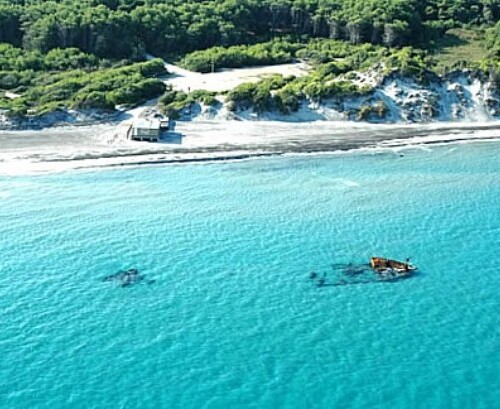 Turismo, Codacons: ‘Puglia meta preferita degli italiani che scelgono le vacanze al mare’